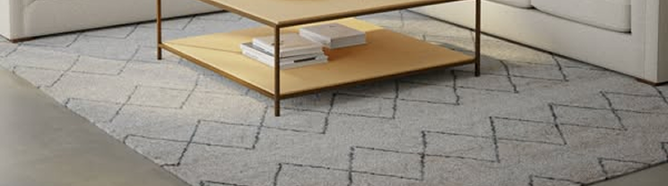 Resize/Reshape Program